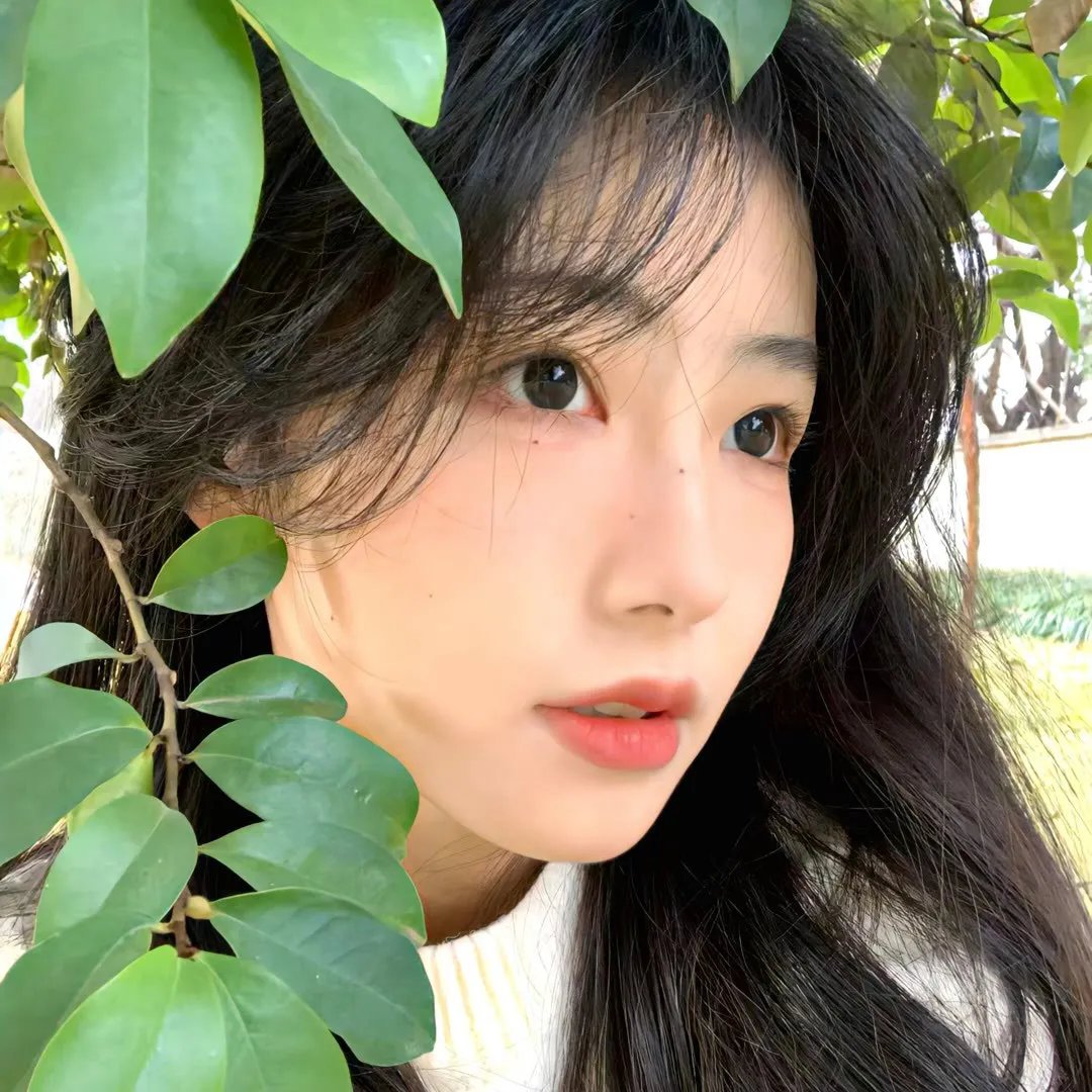 游说